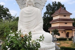 Le bouddha protégé par le Nâga