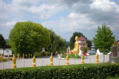 DSCN6397