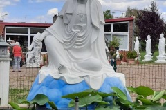 IMG_0763