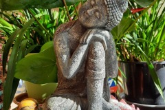 IMG_0779